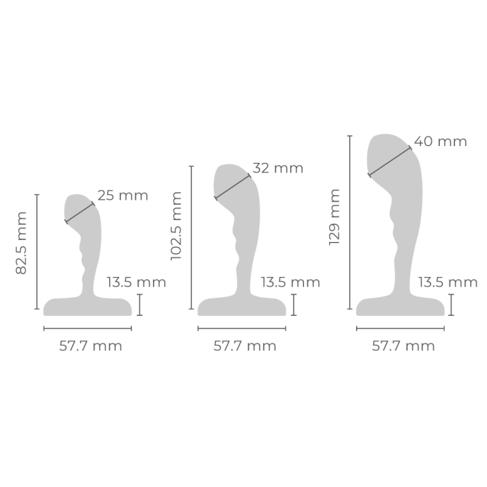 Anal Training Set - Stainless Steel