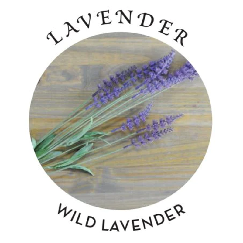 Massage & Body Oil 2oz - Lavender