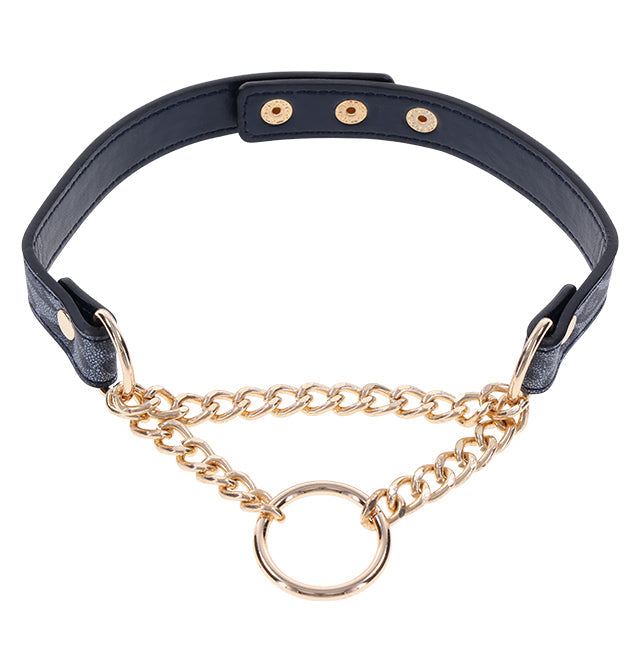 Cougar - Day Collar