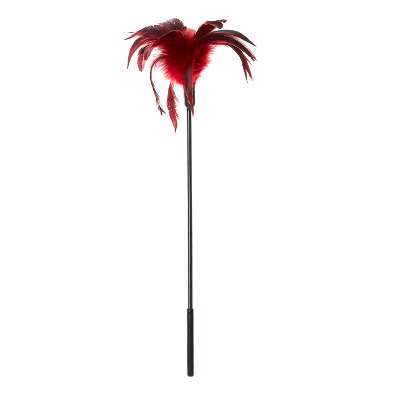 Starburst Feather Tickler - Red
