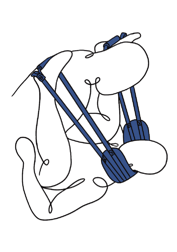 Pivot - Deluxe Doggie Strap
