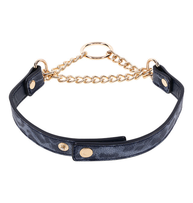 Cougar - Day Collar