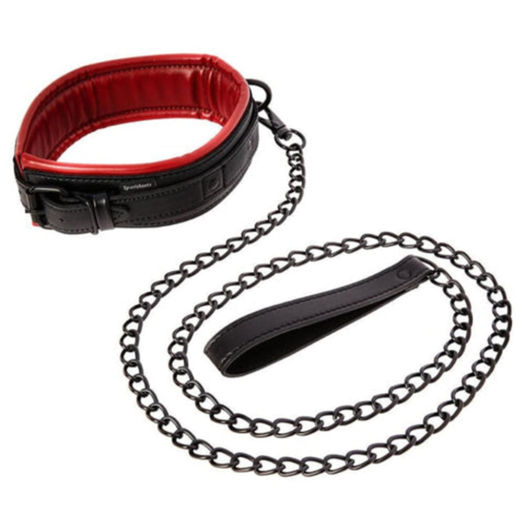 Saffron - Leash & Collar