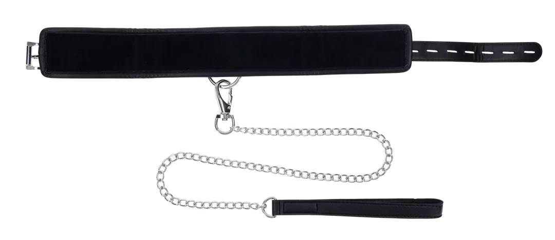 Edge - Collar & Leash