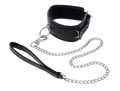 Edge - Collar & Leash